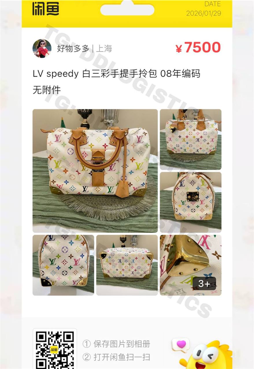 Louis Vuitton Speedy — Multicolore белый, 2008, ¥7 500